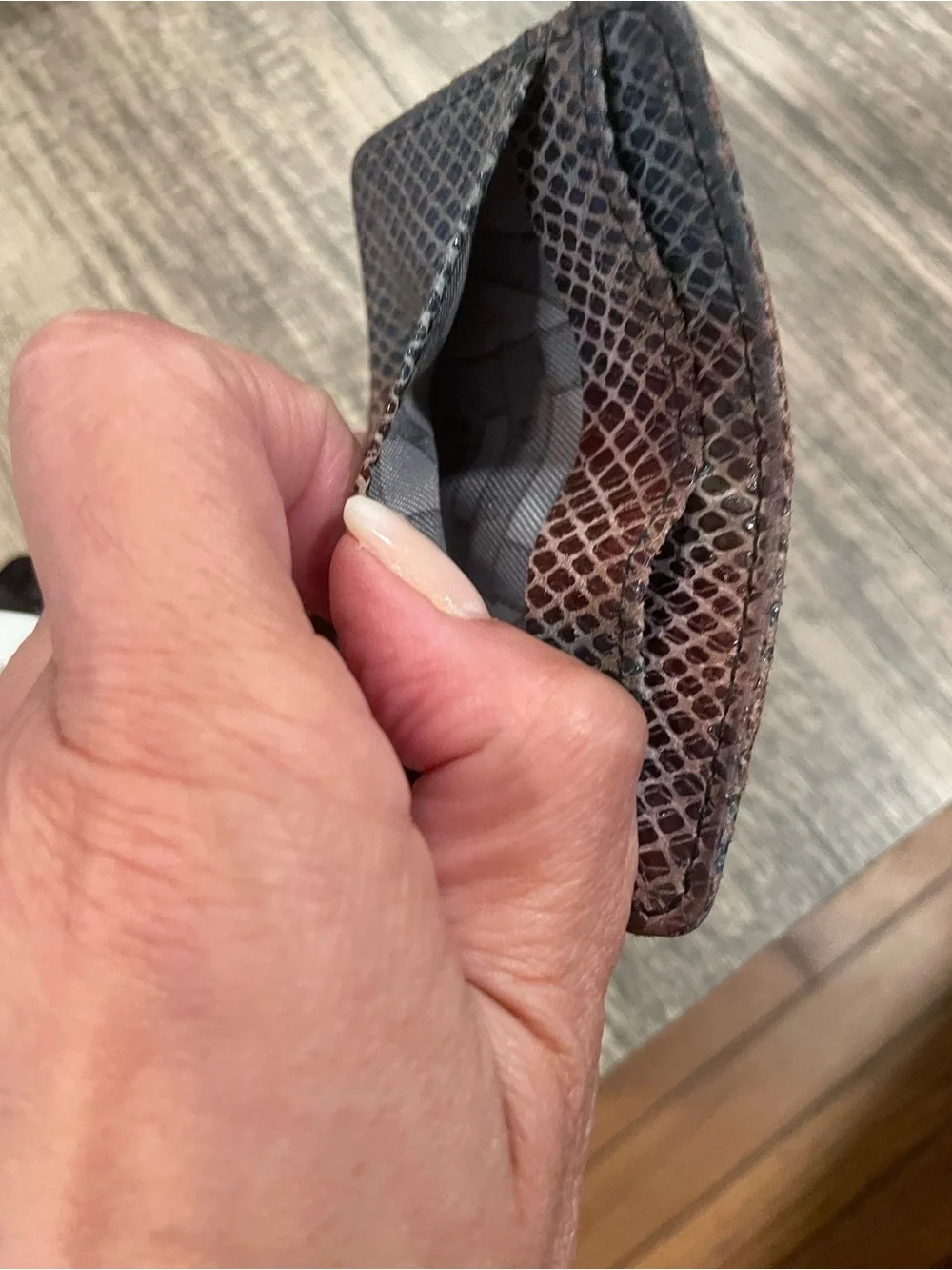 Aimee Kestenberg Brown and Black Snake-Embossed Leather Card Holder